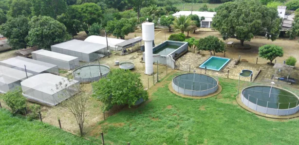 Fazenda / Sítio / Chácara com 4 Quartos à venda, 70000m² no Mansões de Recreio Estrela Dalva VII-A, Novo Gama