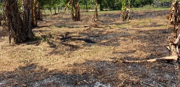 Terreno / Lote / Condomínio à venda, 3250m² no Sampaio Correia (Sampaio Correia), Saquarema