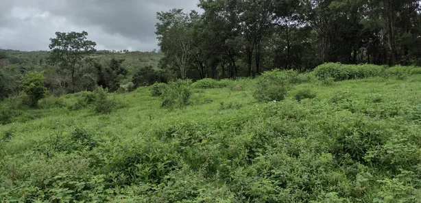 Terreno / Lote / Condomínio à venda, 20000m² no , Fortuna de Minas