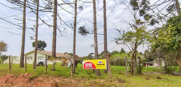 Fazenda / Sítio / Chácara com 7 Quartos à venda, 350m² no Imbuial, Colombo