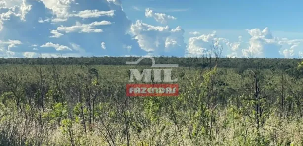 Fazenda / Sítio / Chácara à venda, 20000m² no , Guaraí