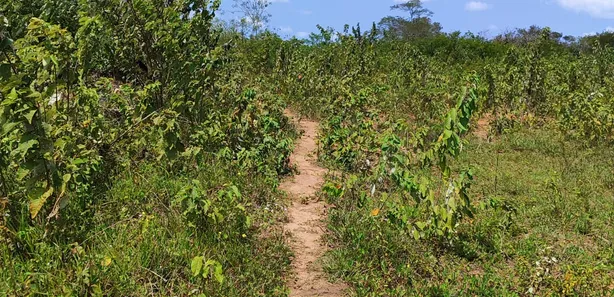 Fazenda / Sítio / Chácara com 3 Quartos à venda, 11200m² no , Vera Cruz
