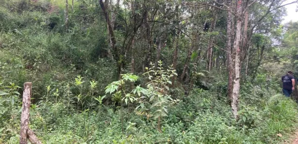 Terreno / Lote / Condomínio à venda, 4000m² no São João Batista, São João Batista
