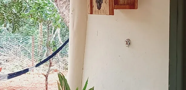 Fazenda / Sítio / Chácara com 3 Quartos à venda, 29400m² no , Brasília