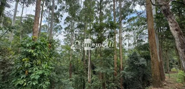 Terreno / Lote / Condomínio à venda, 3495m² no Moinho Velho, Embu das Artes