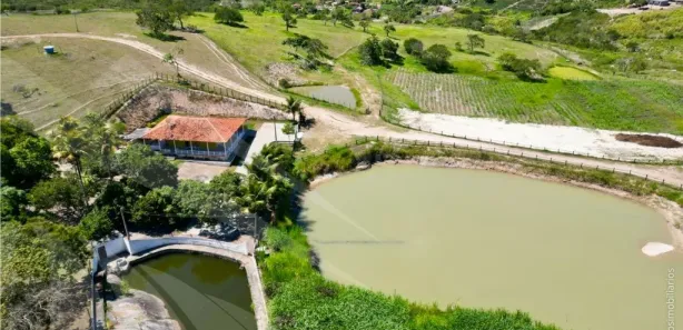 Fazenda / Sítio / Chácara com 3 Quartos à venda, 220000m² no , Sairé