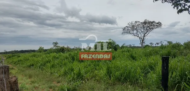 Fazenda / Sítio / Chácara à venda, 500m² no , Pium
