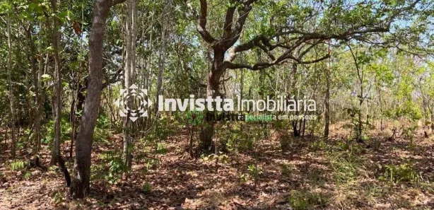 Fazenda / Sítio / Chácara à venda, 639m² no Centro, Pium