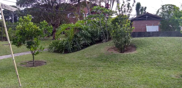 Fazenda / Sítio / Chácara com 4 Quartos à venda, 400m² no Shidarta, Pirapora do Bom Jesus