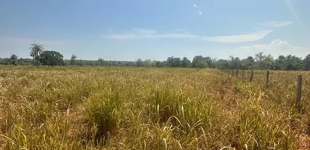 Fazenda / Sítio / Chácara à venda, 136m² no Setor Central, Cristalândia