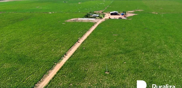 Fazenda / Sítio / Chácara à venda, 755m² no , Pedro Afonso