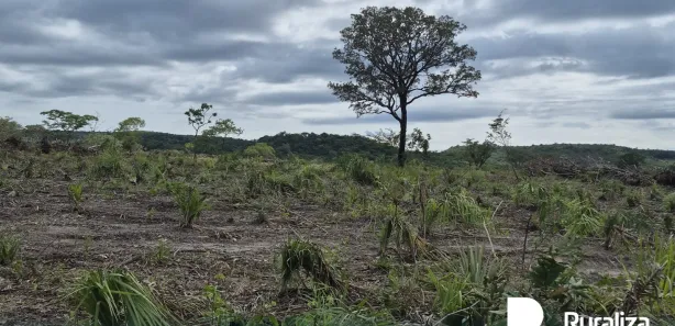 Fazenda / Sítio / Chácara à venda, 474m² no , Rio Sono