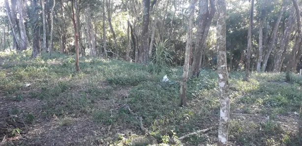 Terreno / Lote / Condomínio à venda, 1000m² no Ortizes, Piedade
