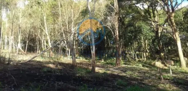 Terreno / Lote / Condomínio à venda, 3000m² no , São Lourenço da Serra