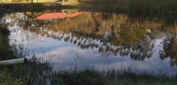 Fazenda / Sítio / Chácara com 3 Quartos à venda, 150m² no , Pilar do Sul