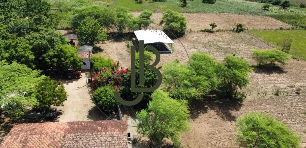 Fazenda / Sítio / Chácara com 3 Quartos à venda, 180m² no Centro, Pilar