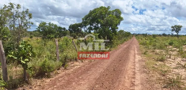 Fazenda / Sítio / Chácara à venda, 500m² no Setor Central, Ponte Alta do Tocantins