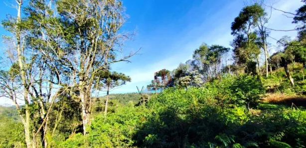 Fazenda / Sítio / Chácara à venda, 30000m² no , Santa Maria do Herval