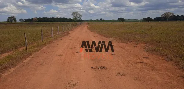Fazenda / Sítio / Chácara à venda, 52270000m² no Javaés, Lagoa da Confusão