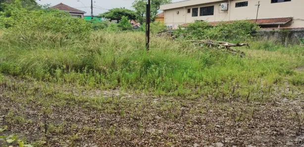 Terreno / Lote / Condomínio à venda, 3000m² no Vila Paulista, Cubatão
