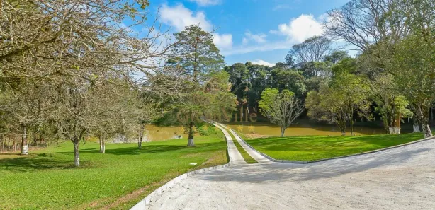Fazenda / Sítio / Chácara com 4 Quartos à venda, 145000m² no Jardim Florestal, Campo Largo