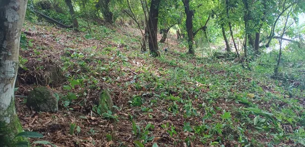 Terreno / Lote / Condomínio à venda, 1000m² no São Bento, Angra dos Reis