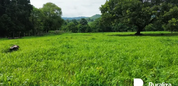 Fazenda / Sítio / Chácara à venda, 1102m² no , Presidente Kennedy
