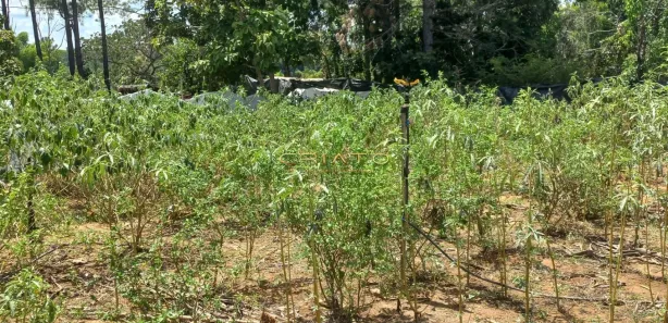 Terreno / Lote / Condomínio à venda, 500m² no Setor Lagoa Quente, Caldas Novas