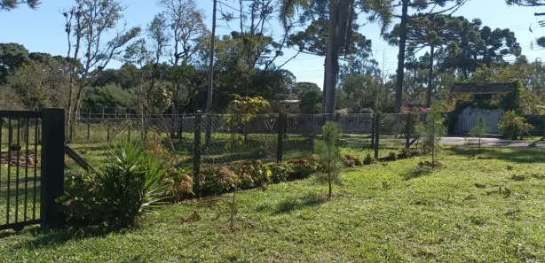 Fazenda / Sítio / Chácara com 4 Quartos à venda, 3200m² no Campo Alto, Tijucas do Sul