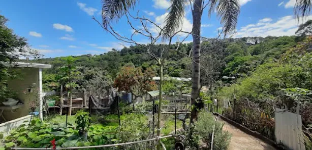 Fazenda / Sítio / Chácara com 3 Quartos à venda, 200m² no Aglomeração Urbana de Jundiaí, Louveira