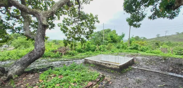 Fazenda / Sítio / Chácara com 11 Quartos à venda, 12800m² no , Pombos