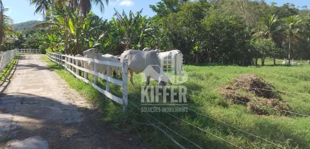 Fazenda / Sítio / Chácara com 5 Quartos à venda, 1220m² no , Rio Bonito