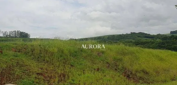 Terreno / Lote / Condomínio à venda, 1500m² no , Sertanópolis