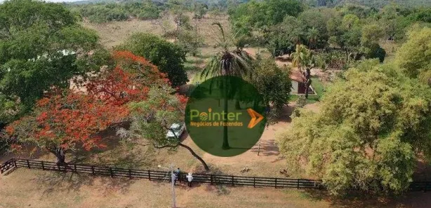 Fazenda / Sítio / Chácara à venda, 5320000m² no Área Rural de Gurupi, Gurupi