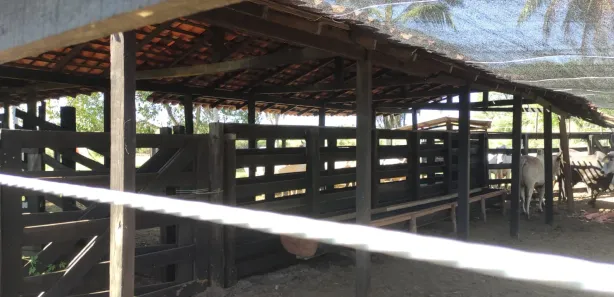 Fazenda / Sítio / Chácara à venda, 300m² no Centro, Itapecuru Mirim