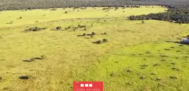 Fazenda / Sítio / Chácara à venda, 14689400m² no , Formoso do Araguaia