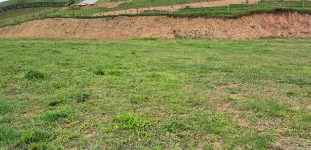 Terreno / Lote / Condomínio à venda, 483m² no Centro, São Pedro de Alcântara