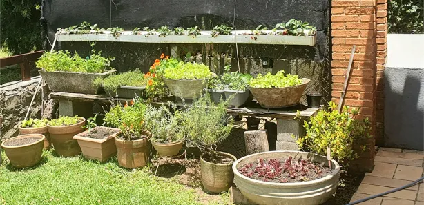 Casa com 3 Quartos à venda, 300m² no Jardim Villaça, São Roque
