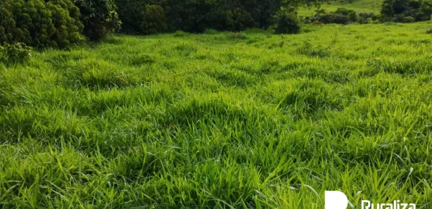 Fazenda / Sítio / Chácara à venda, 193m² no , Rio Sono