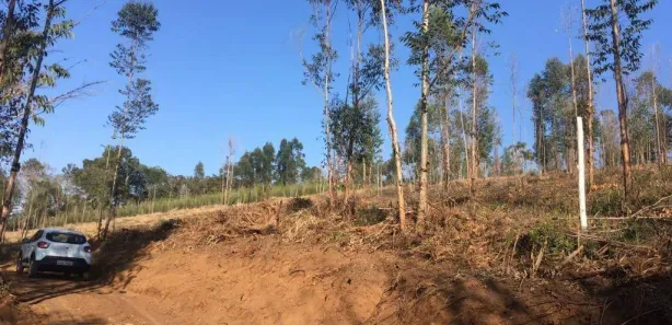 Terreno / Lote / Condomínio à venda, 2502m² no Curitibanos, Bragança Paulista