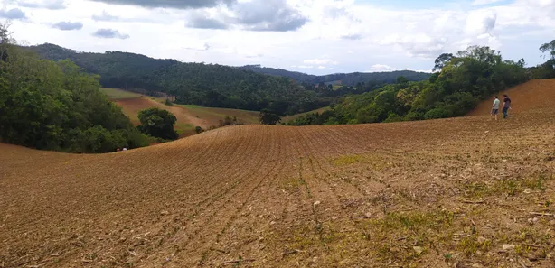 Fazenda / Sítio / Chácara à venda, 48400m² no Pacotuba, Almirante Tamandaré