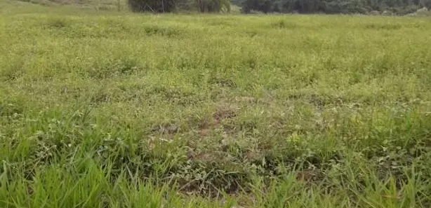 Terreno / Lote / Condomínio à venda, 1000m² no Área Rural de Limeira, Limeira