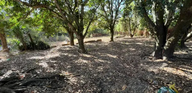 Fazenda / Sítio / Chácara com 5 Quartos à venda, 10000m² no Núcleo Residencial Brasília, Novo Gama