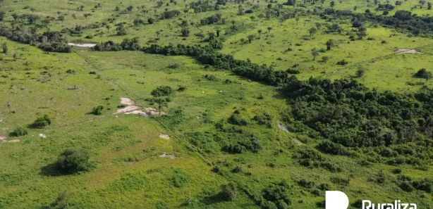 Fazenda / Sítio / Chácara à venda, 1403m² no , Arapoema