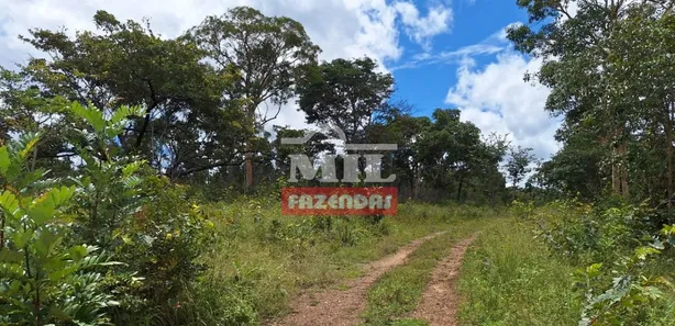 Fazenda / Sítio / Chácara à venda, 500m² no Setor Central, Ponte Alta do Tocantins