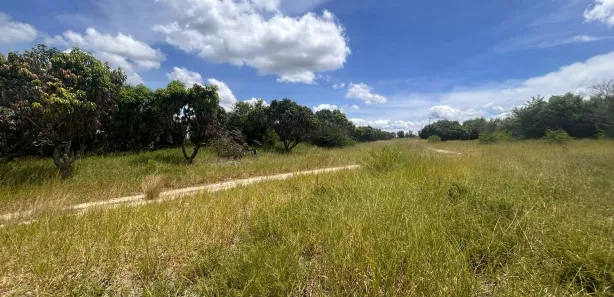 Fazenda / Sítio / Chácara à venda, 140000m² no , Chã Grande