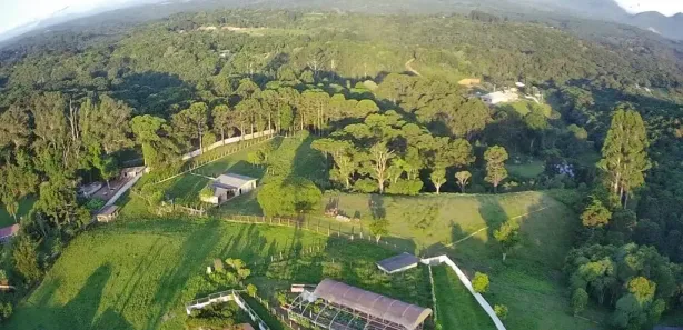 Fazenda / Sítio / Chácara com 4 Quartos à venda, 72600m² no Quatro Barras, Quatro Barras