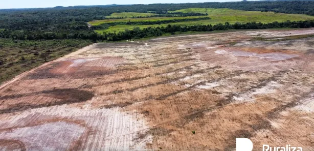Fazenda / Sítio / Chácara à venda, 861m² no , Pedro Afonso