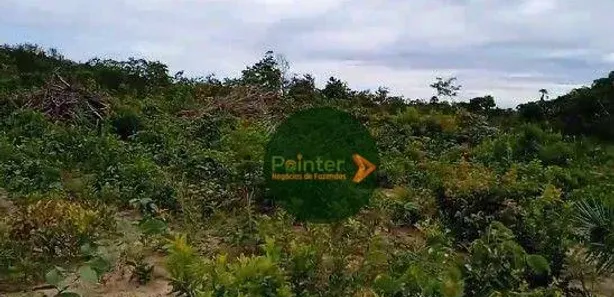 Fazenda / Sítio / Chácara à venda, 4410450m² no , Ponte Alta do Tocantins