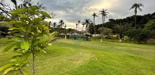 Terreno / Lote / Condomínio à venda, 3000m² no Barra de Santo Antônio, Barra de Santo Antônio